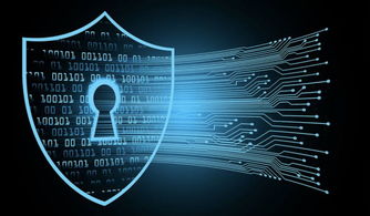 孟晚舟事件后華為運營正常，軟件與信息服務業務穩健發展