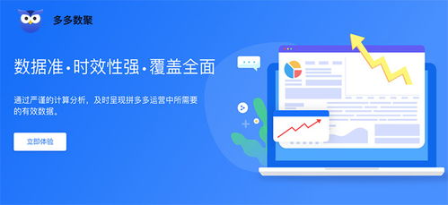 拼多多商家版第三方軟件接入指南與多多數(shù)聚功能介紹